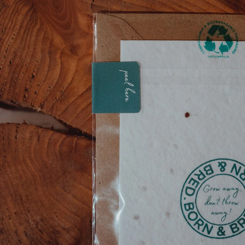 A Father Is Someone You Look Up To | Shamrock Seed Card | Born & Bred - Image 6