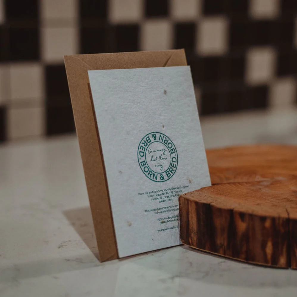 A Good Friend Is Like A Four Leaf Clover | Shamrock Seed Card | Born & Bred - Image 3