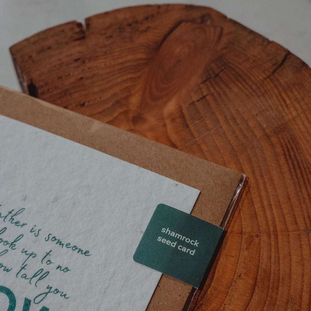 A Good Friend Is Like A Four Leaf Clover | Shamrock Seed Card | Born & Bred - Image 5